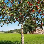Sugar Farm Weideblick * سانكت غورغين إم شفارزفالد