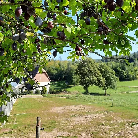 Sugar Farm Weideblick 아파트 *